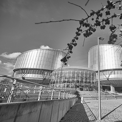 Ευρωπαϊκό Δικαστήριο Δικαιωμάτων του Ανθρώπου